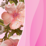 frescura-floral