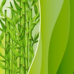 bamboo